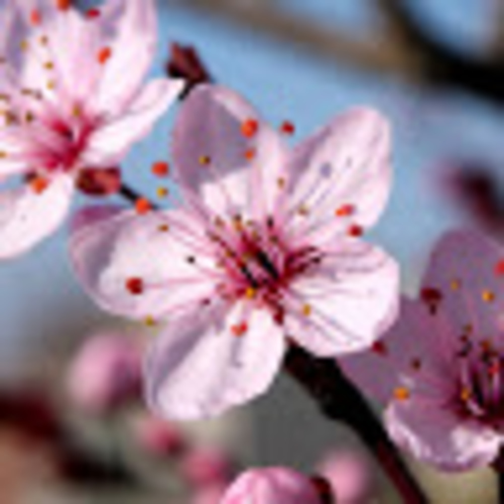 Meet your Posher, Evelyn